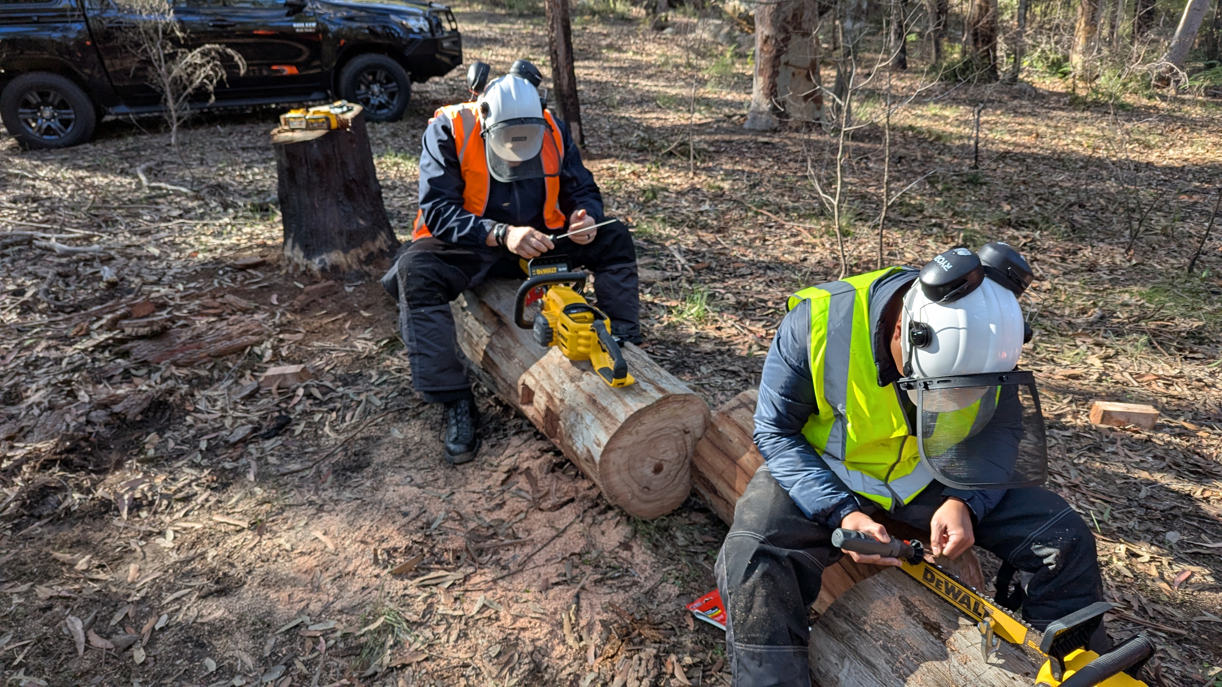 Course Set - FWPCOT2254 & FWPCOT2273 (Maintain chainsaws, Trim and cut felled trees)